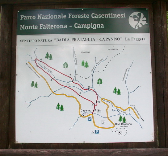 Presentazione della guida interattiva alla flora